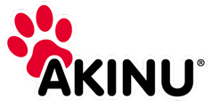 Generální partner